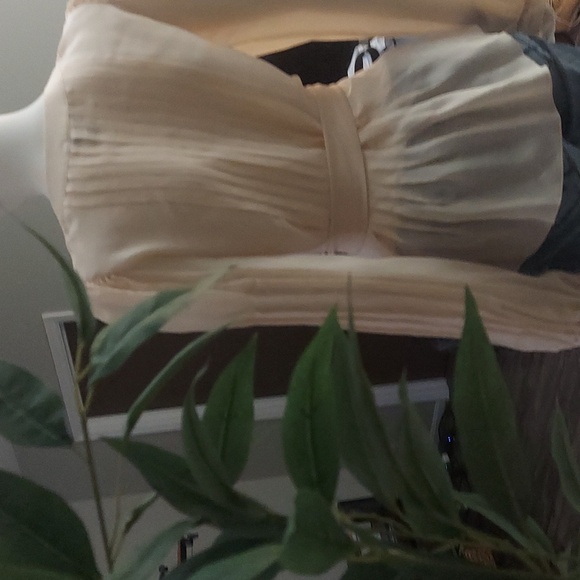 Moda International peach sheer blouse - Picture 3 of 4